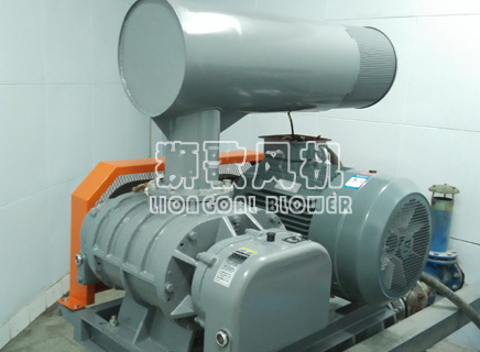面包廠供料系統(tǒng)羅茨鼓風(fēng)機(jī)