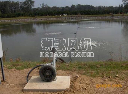 高壓風(fēng)機(jī)應(yīng)用水面增氧