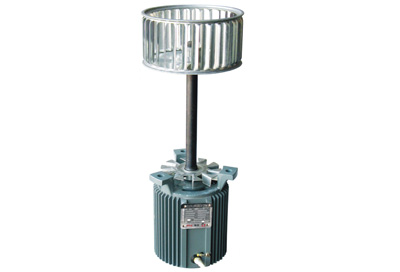 SOP耐高溫電機(jī) 60W